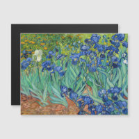 Vincent Van Gogh - Schwertlilien