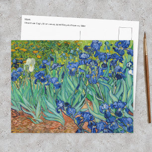 Vincent Van Gogh - Schwertlilien Postkarte