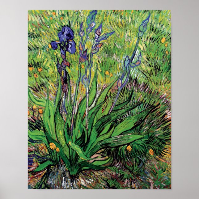 Vincent Van Gogh - The Iris Nature Lover Kunst Poster (Vorne)