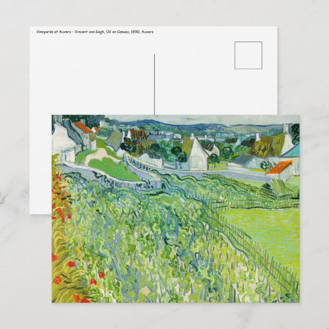 Vincent van Gogh - Weinberge in Auvers Postkarte (Vorne/Hinten)