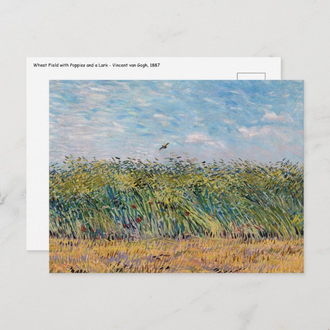 Vincent van Gogh - Weizenfeld mit Lark Postkarte (Vorne/Hinten)