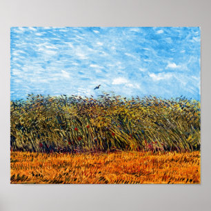 Vincent Van Gogh - Weizenfeld mit Park Poster