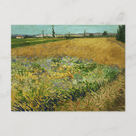 Vincent Van Gogh, Wheatfield, Korenveld Postkarte
