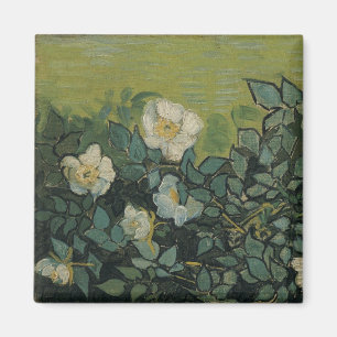Vincent van Gogh - Wilde Rose Magnet