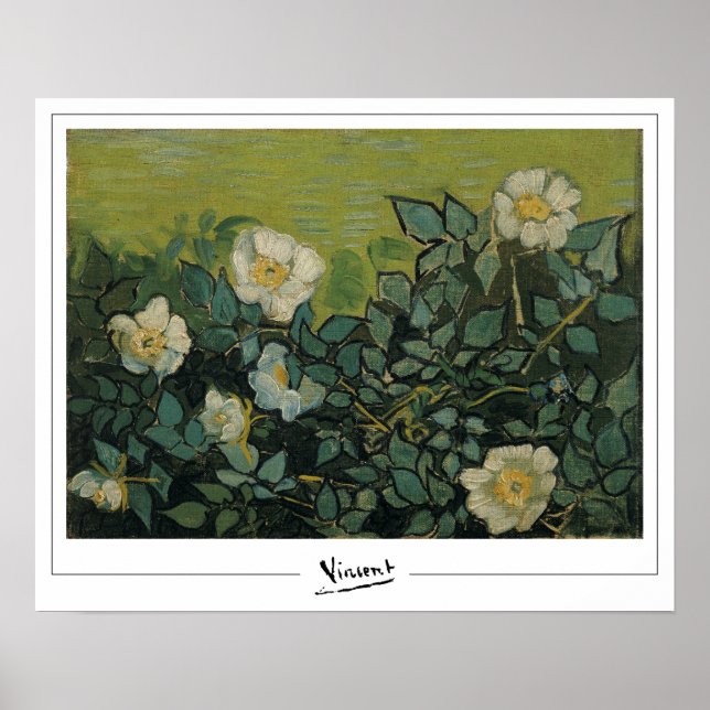 Vincent Van Gogh Zedign Art Poster #21 (Vorne)
