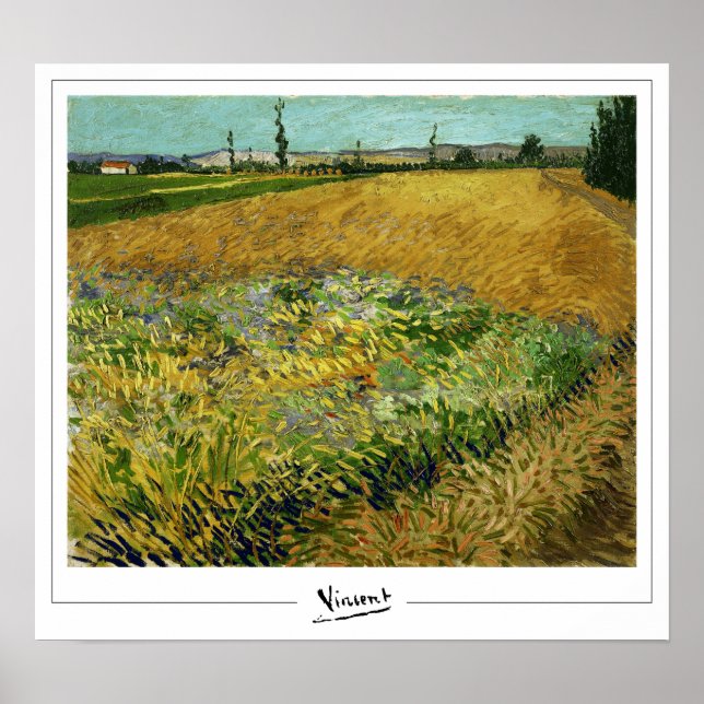Vincent Van Gogh Zedign Art Poster #4 (Vorne)