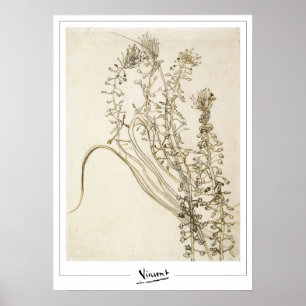 Vincent Van Gogh Zedign Kunstposter #356-3 Poster