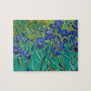 Vincent Van Gogh's Ire