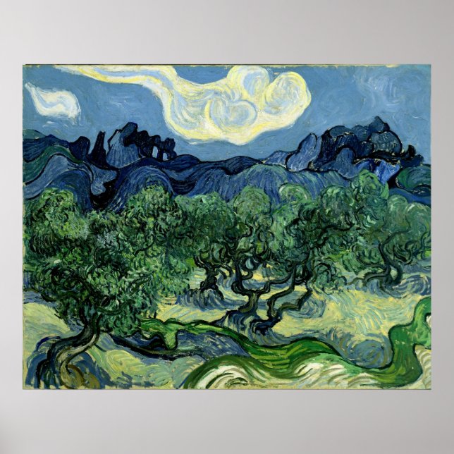 Vincent van Gogh's Olive Trees (1889) Poster (Vorne)