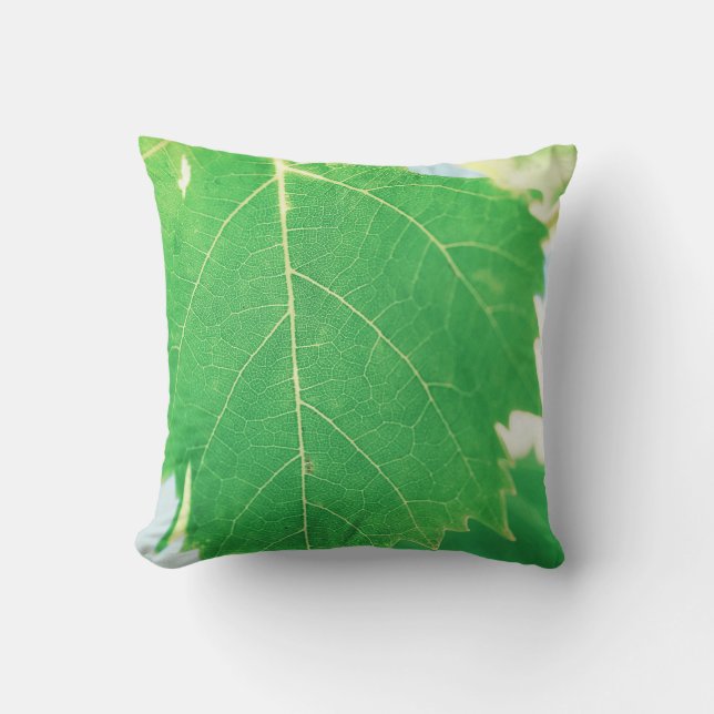 Vine Green Leaf Blue Sky Focus Kissen Kissen Kisse (Vorderseite)