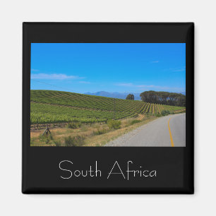 Vineyard Landscape South Africa SA Magnet