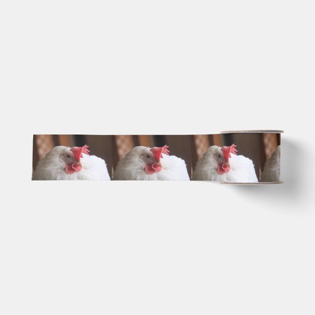 Vinnie Ripsband (Vorderseite)