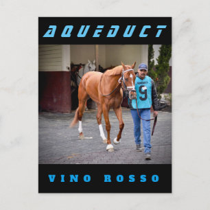 Vino Rosso - Paddock Postkarte