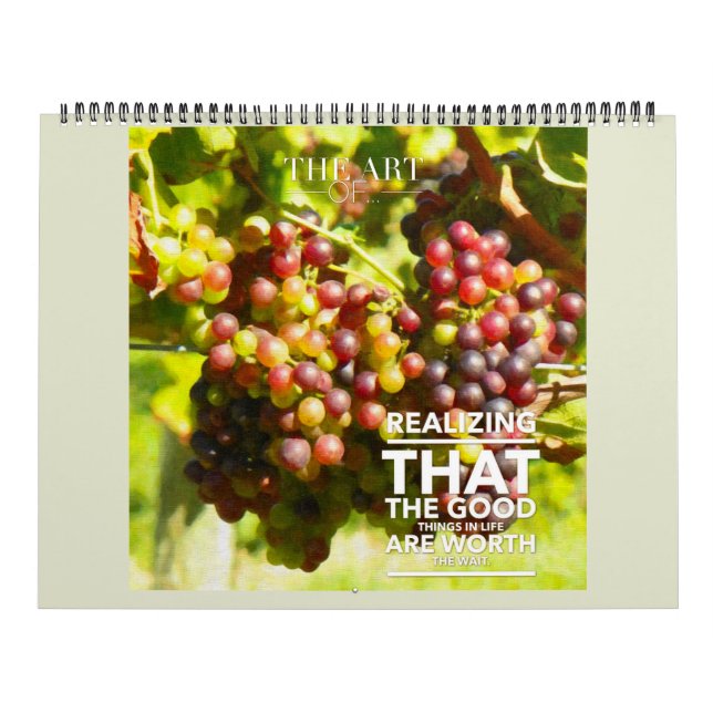 Vinologie Photographie Vin Inspiration Calendrier (Protection)