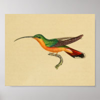 Vintag 1830 Hummingbird Print Red Green