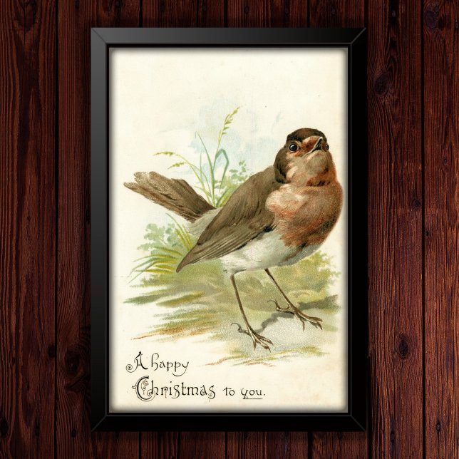 Vintag 1908 Robin Bird Weihnachtsgrüßposter Poster (Von Creator hochgeladen)