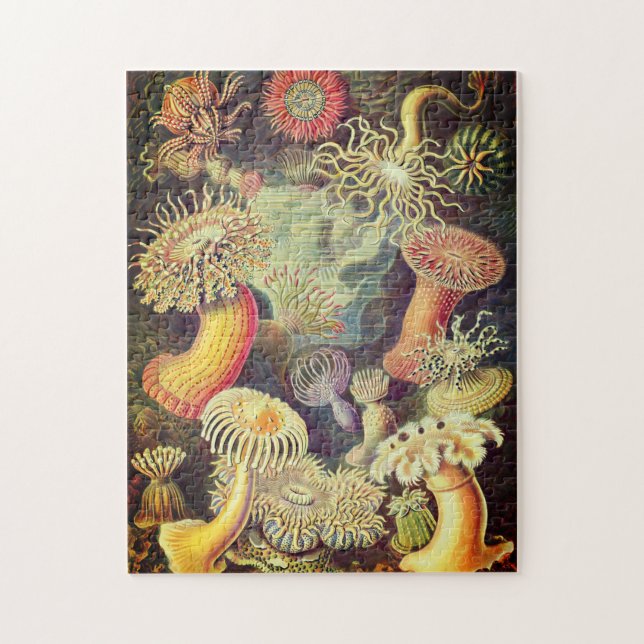 Vintag Actiniae Puzzle von Ernst Haeckel (Vertikal)
