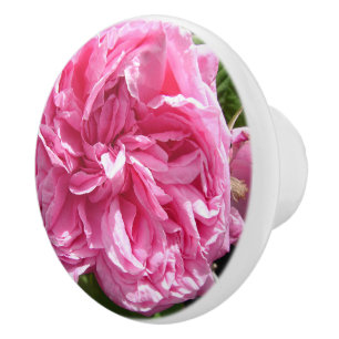 Vintag Alte Rosen Rose Blume Blumenkohl Keramikknauf