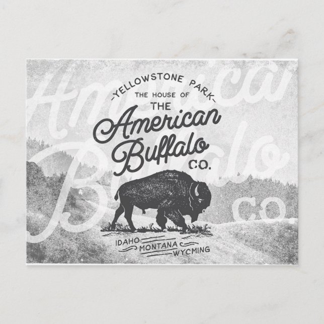 Vintag American Buffalo Montana Travel Postkarte (Vorderseite)