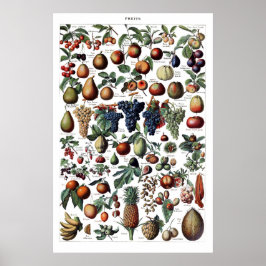 Vintag antikes französisches Fruchtdruckposter Poster