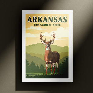 Vintag Arkansas Postkarte