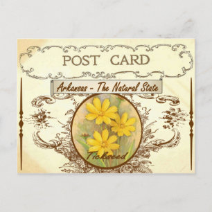 Vintag Arkansas Staat Blume Postkarte