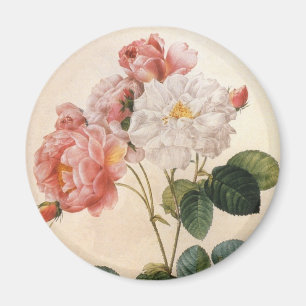 Vintag Art Pink Rose Blume Kühlschrank Magnet