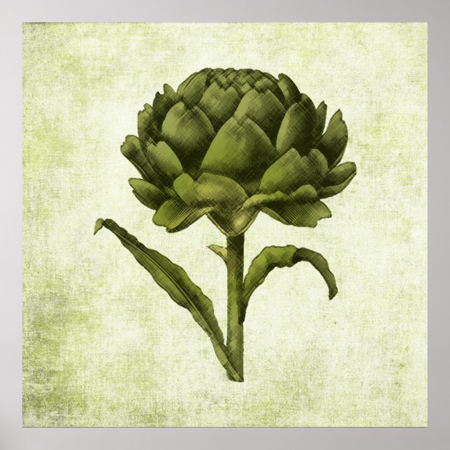 Vintag Artichoke Poster (Vorne)