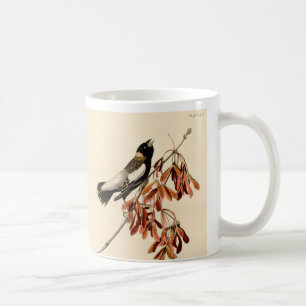 Vintag Audubon Bobolink Malerei Geschenk Kaffee Ta Kaffeetasse