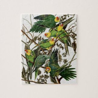 Vintag Audubon Malerei Carolina Parakeet