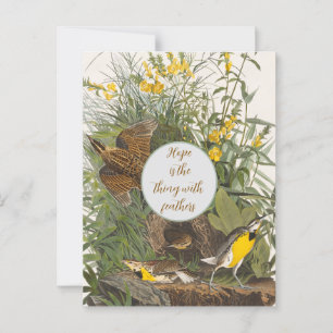 Vintag Audubon Meadowlark Print Postkarte