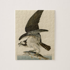 Vintag Audubon Osprey Bird Painting Gift