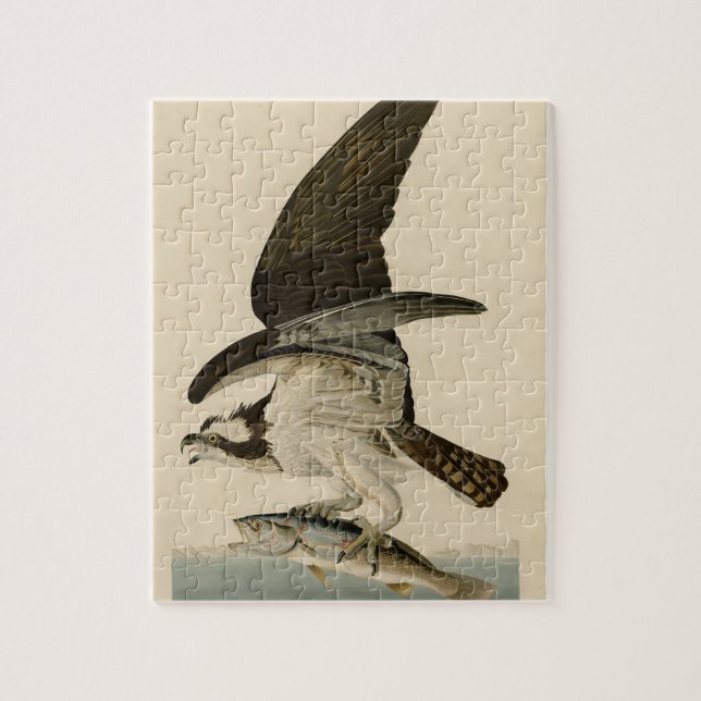 Vintag Audubon Osprey Bird Painting Gift (Vertikal)