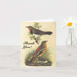Vintag aussehen Vögel, "Danke!" Karte