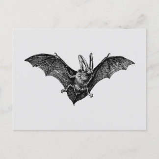Vintag Bat Gothic Vampire Postkarte