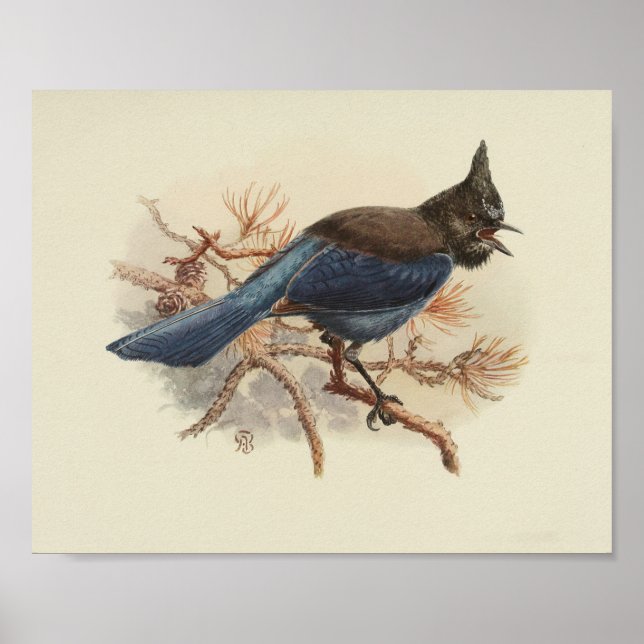 Vintag Bird Blue Black Poster (Vorne)