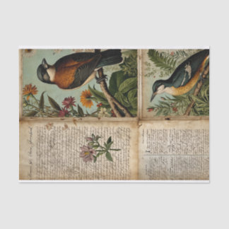 Vintag Bird Journal Seidenpapier