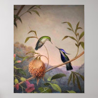 Vintag Bird Poster
