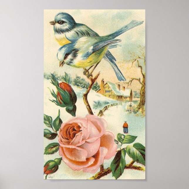Vintag Bird Poster (Vorne)
