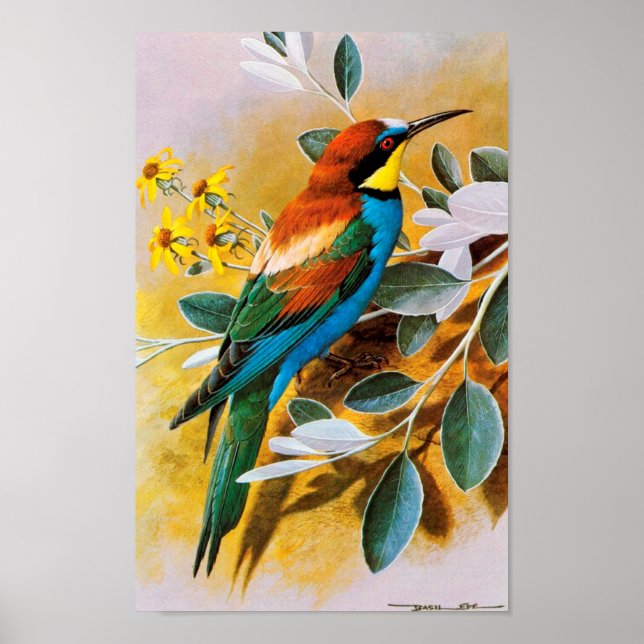 Vintag Bird Poster (Vorne)