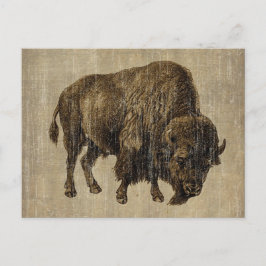 Vintag Bison Postkarte