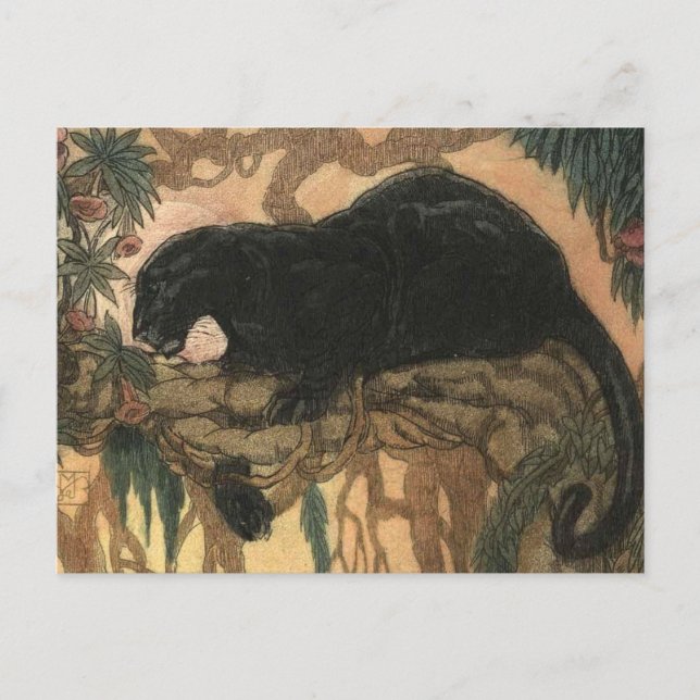 Vintag Black Panther Cat Postkarte (Vorderseite)