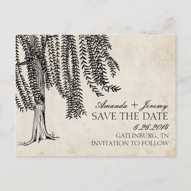 Vintag Black Weeping Willow Save the Date Ankündigungspostkarte (Vorderseite)