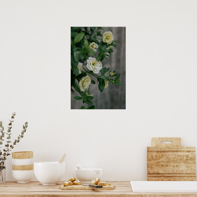 Vintag Blassgelbe Petunias Poster (Küche)