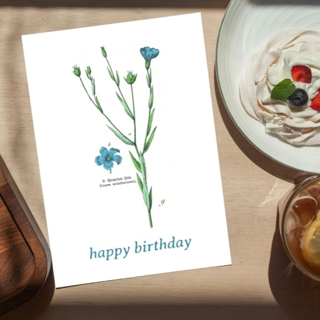 Vintag Blauer Botanischer Flachs Linum Geburtstag Postkarte (Von Creator hochgeladen)