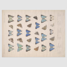 Vintag Blue Butterfells Ephemera Decoupage Aquamar