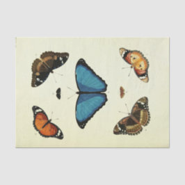 Vintag Blue Butterfly Ephemera Decoupage Script T Seidenpapier