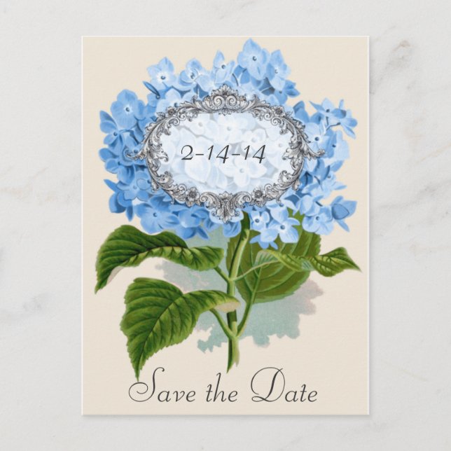 Vintag Blue Hydrangea Frame Save the Date Card Ankündigungspostkarte (Vorderseite)