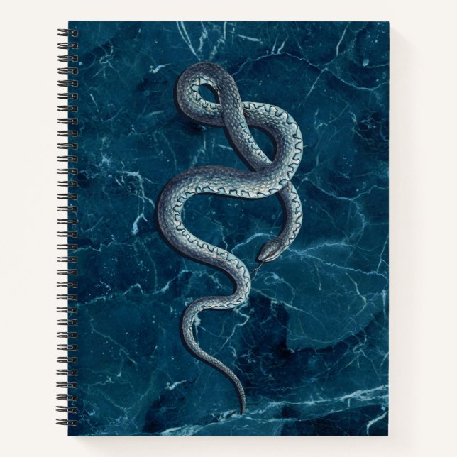 Vintag Blue Snake & Marble Notizbuch (Vorderseite)