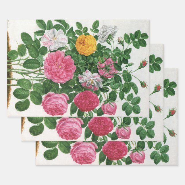 Vintag blühende Blume, Frühjahrsgärten-Rose Geschenkpapier Set (Set)